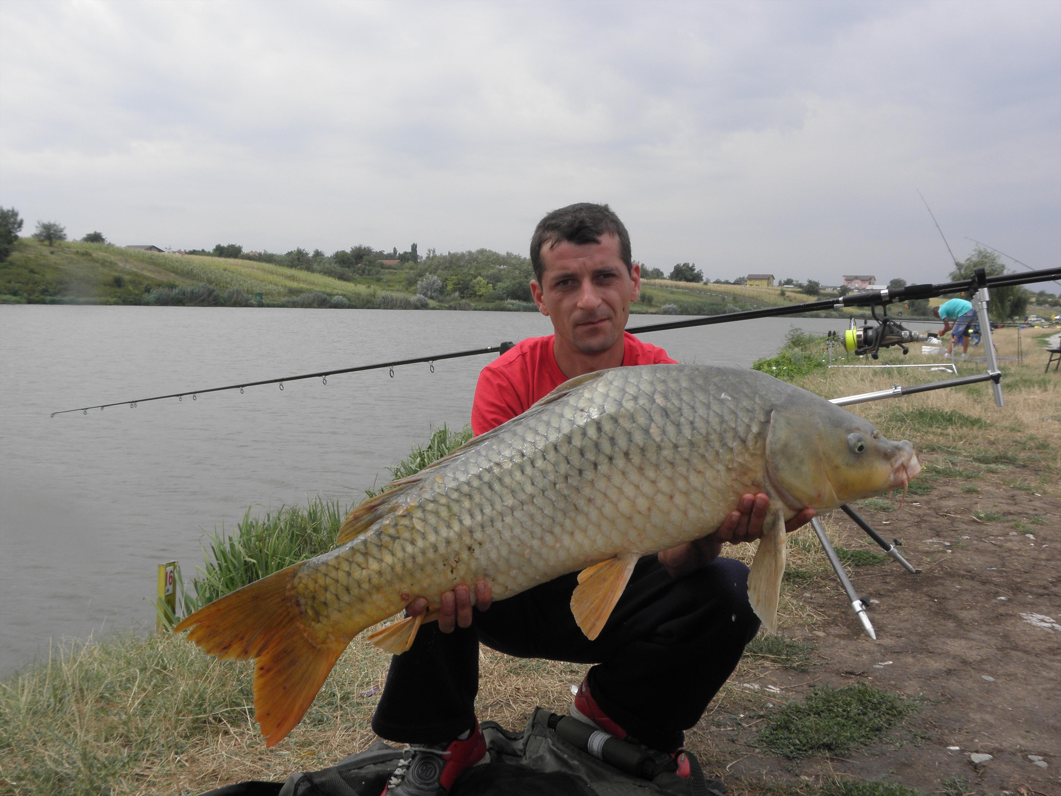 Capturi 2012 - P8110871.JPG